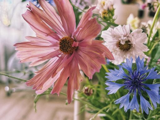 Blogpost 1